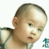 戈壁风的头像