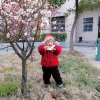 杨兰的头像