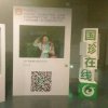 徐智慧的头像
