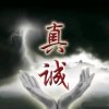 wl的头像