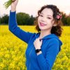 醉清歌的头像