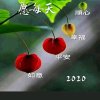 悦扬温柔的港湾的头像