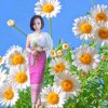 女人花的头像