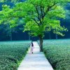 瑛子的头像