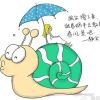 小妹的头像