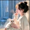 安然的头像