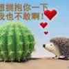 吉时雨的头像