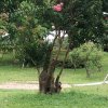 彩云的头像