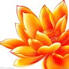 润珍.的头像