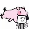 ʚ桜裙ɞ的头像