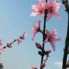 。。。的头像