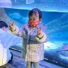 星辰（乐音22徒）的头像