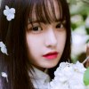 。桂花香的头像