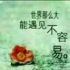 雁的头像