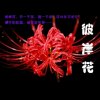 HR:彼岸花的头像