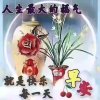 过好美一天的头像