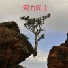 阿亮的头像