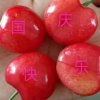 勇往直前堑退的头像