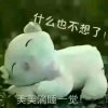 旧梦的头像