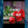阳光(回访不周见谅)的头像