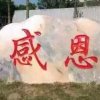 今生有你《拒私聊》暂退的头像