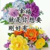 帆的头像