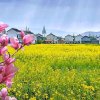 青山绿水的头像