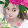 清的头像