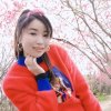 轻舞飞扬的头像