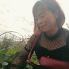 人生如梦的头像