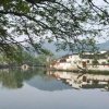 沉默的头像