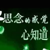 受伤的玫瑰的头像