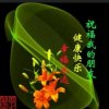 向往神鹰(暂退)的头像