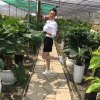 开心小草的头像