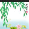 风中雨荷的头像