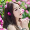 淡淡の花香的头像