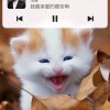 物是人非，时过境迁的头像