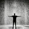 十七的头像
