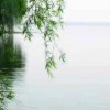 、夏天依凡的头像