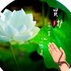 ㊫静若禅心【熠】的头像