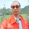 情歌为你唱的头像