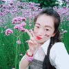 蝶恋花的头像