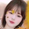 燕子的头像