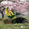 开心祝福的头像