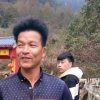 胡培福的头像