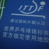 溯溪之灵的头像