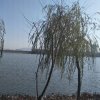 缘来如此。的头像