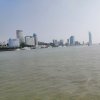心缘的头像