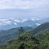雪山飞狐（以歌会友）的头像