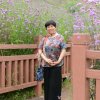 瑶台抚琴的头像